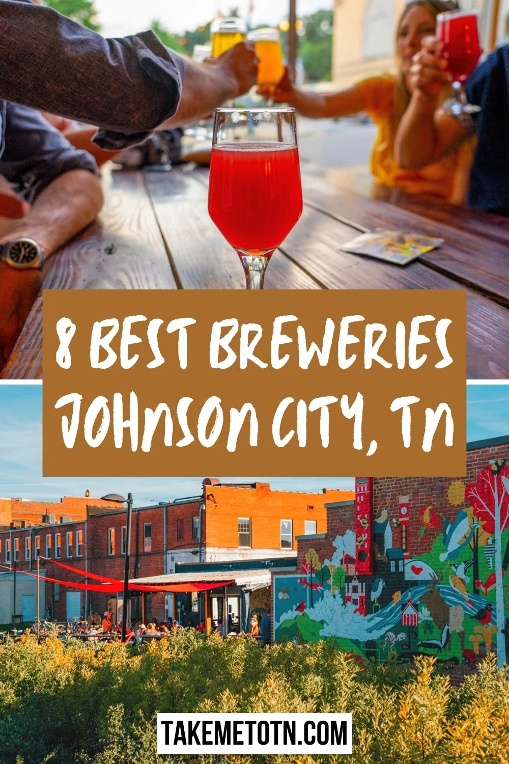 Gallery of breweries in Johnson City TN, with text overlay "8 Best Breweries in Johnson City, TN" on brown background