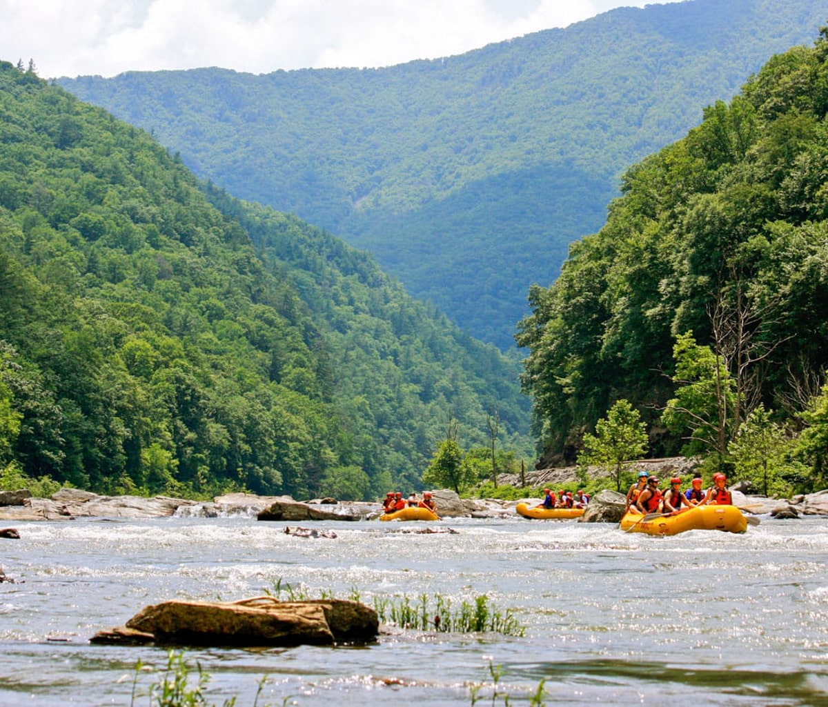 Many groups of people white water rafting down the Nolichucky River with appalachian mountains in the background