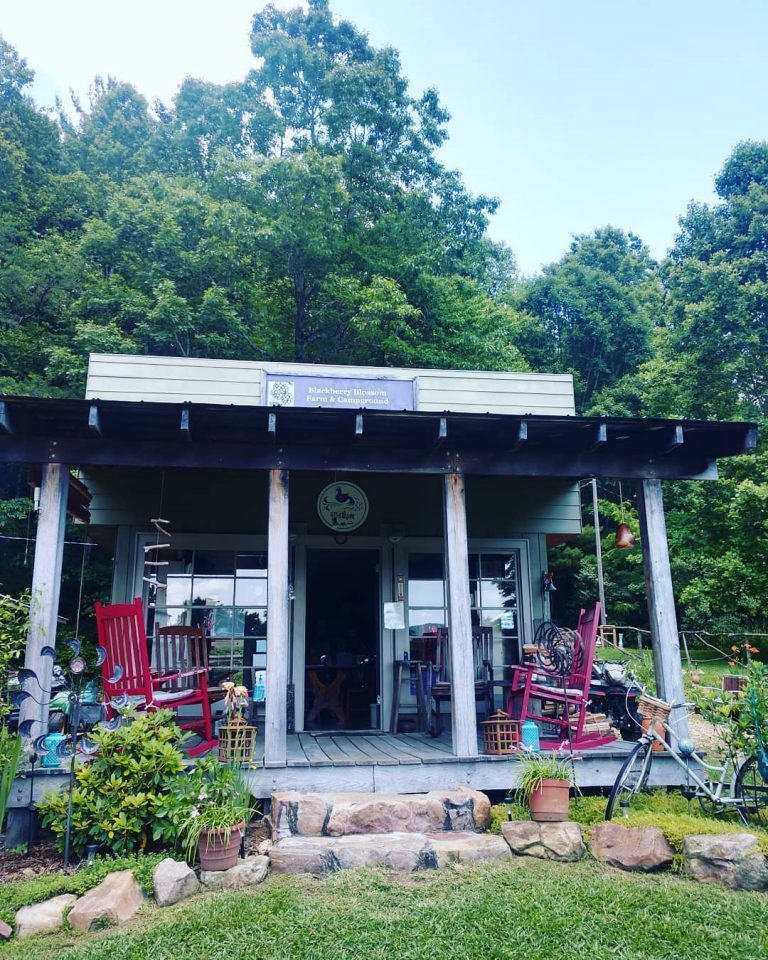 9 Best Campgrounds Near Johnson City, TN for Outdoor Fun