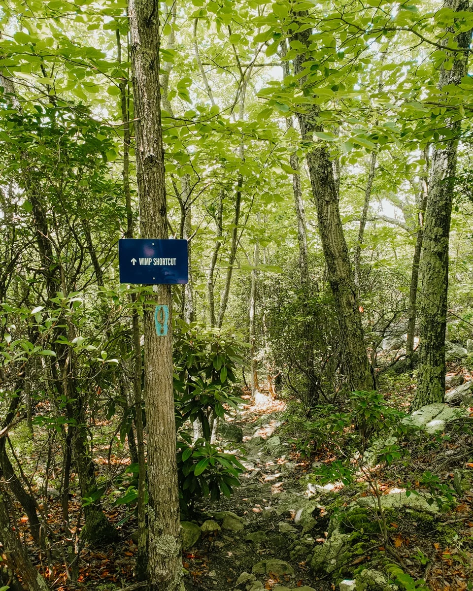 Forested trail with sign "Wimp Shortcut" in Buffalo Mountain Park hiking trails near Johnson City TN