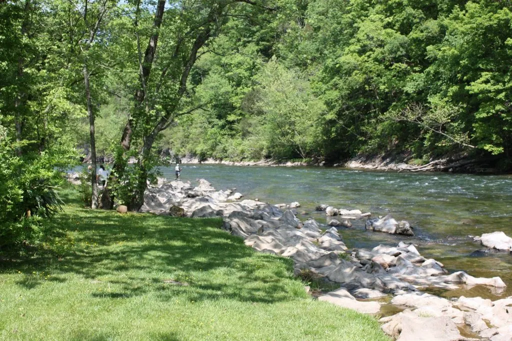 Man fishing on the Watauga River at Camp Stonefly