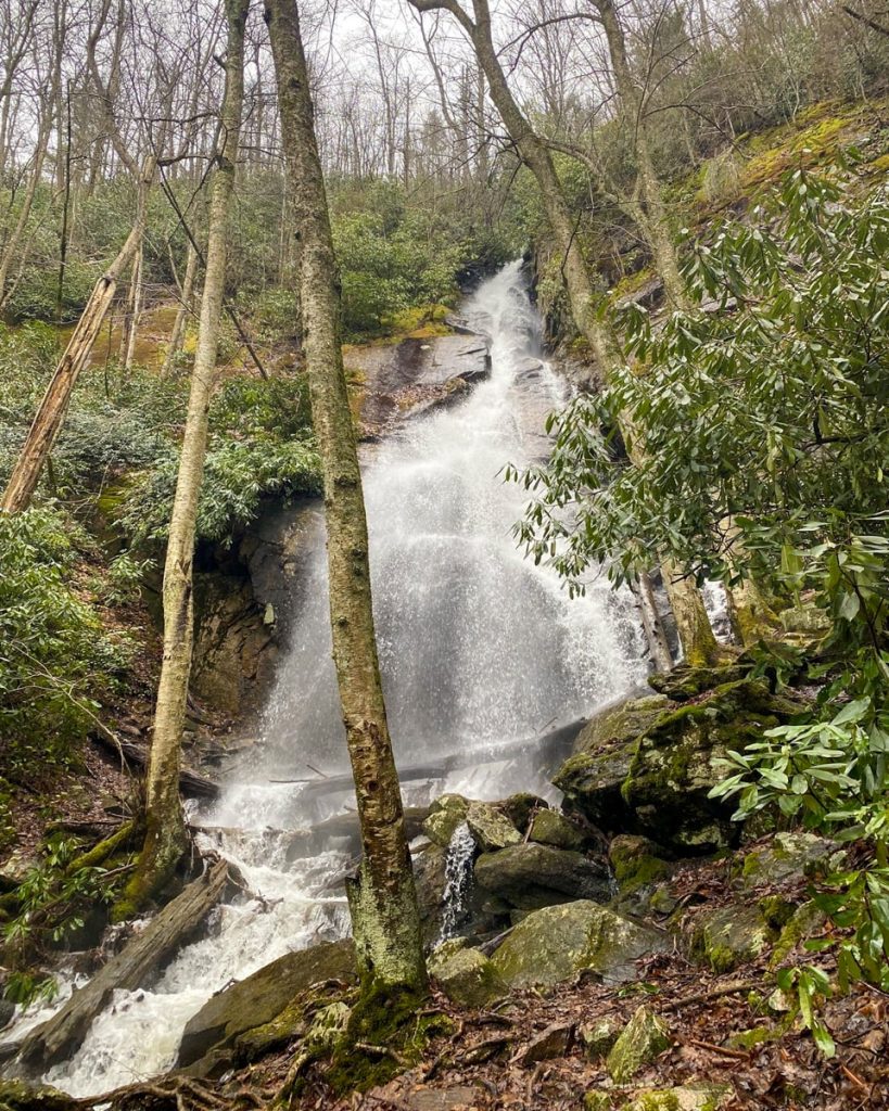 cascading waterfall in hardwood forest in east tn