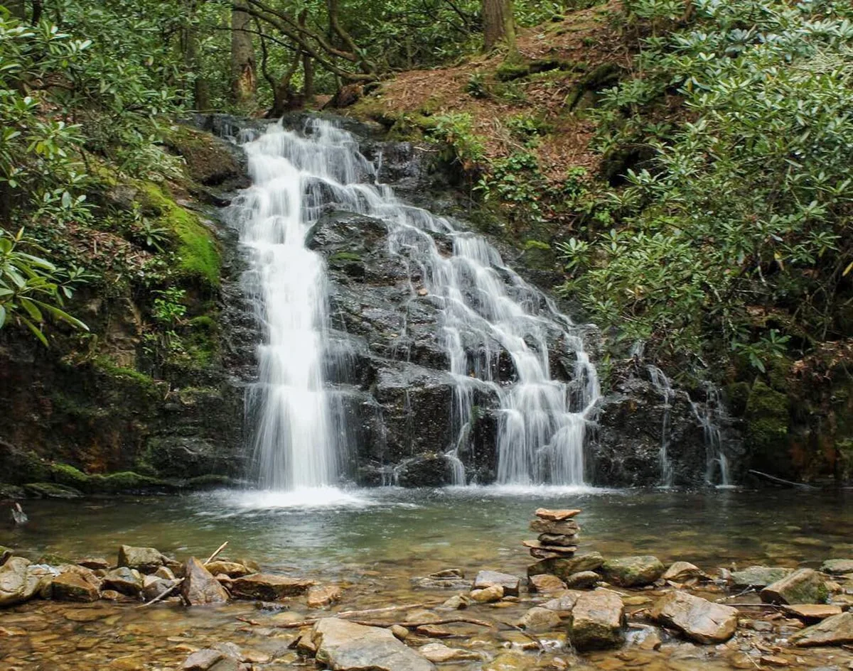 martins creek falls in erwin tn 