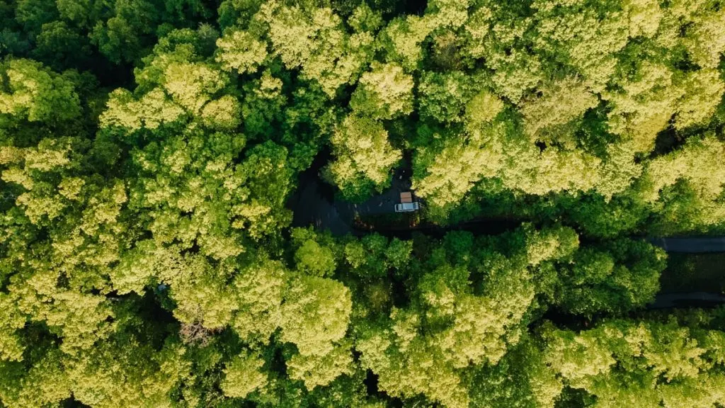 Aerial view of campground with trees and a small campervan