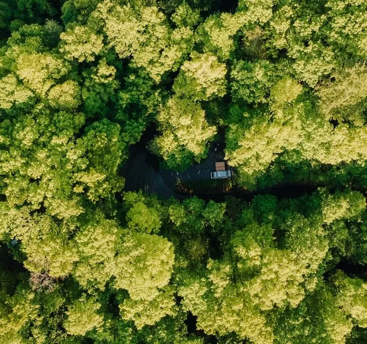 Aerial view of campground with trees and a small campervan