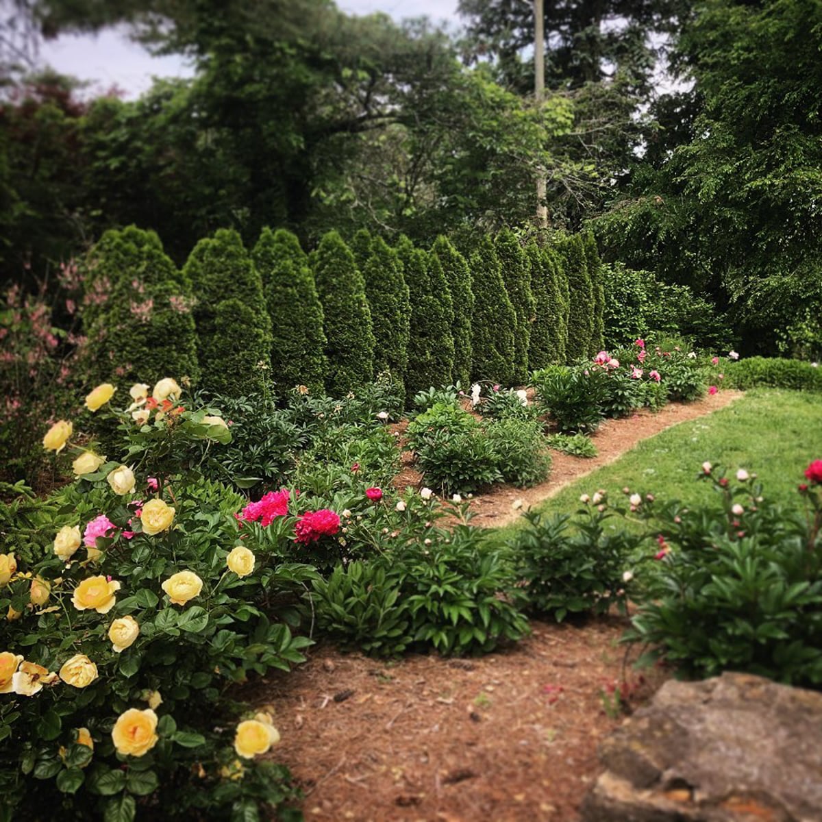beautiful garden with flowers at the knoxville gardens and aboretum in knoxville tn 