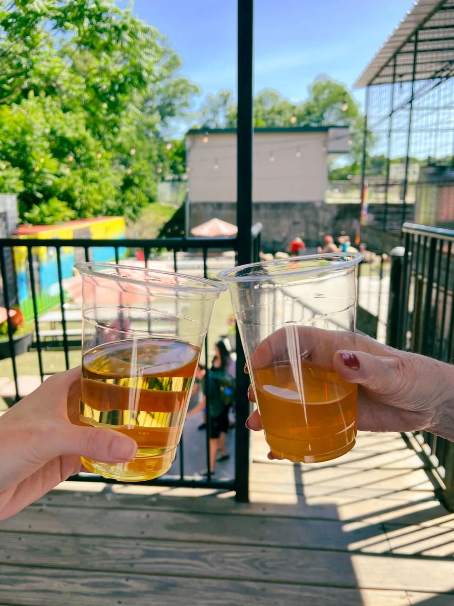 Cheering two ciders from Gypsy Circus Cider Company in Kingsport TN