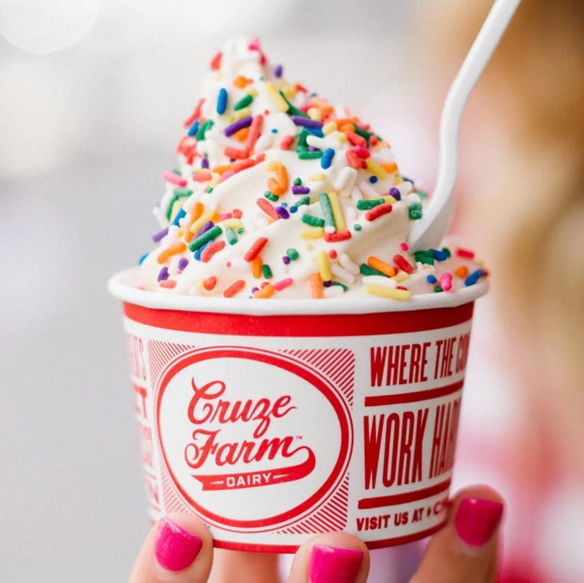 Ice cream with sprinkles at Cruze Farm Dairy in Knoxville TN 