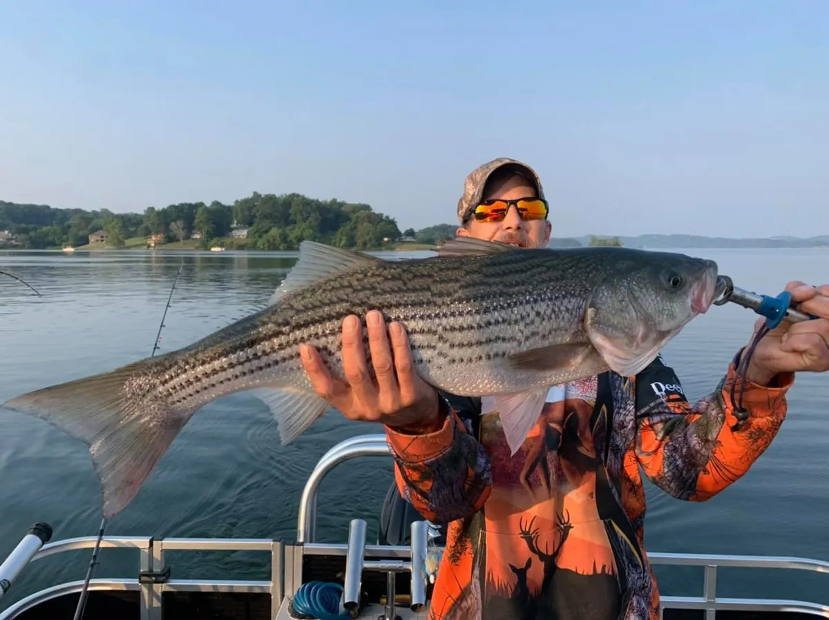 Man holding bass he caught from cherokee lake in morristown tn 