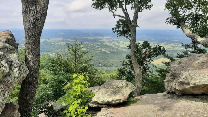 Complete Guide: Best Hikes in Knoxville, TN (Easy–Difficult)
