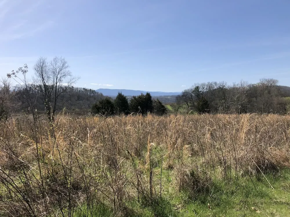 Upland Trail Outer Loop