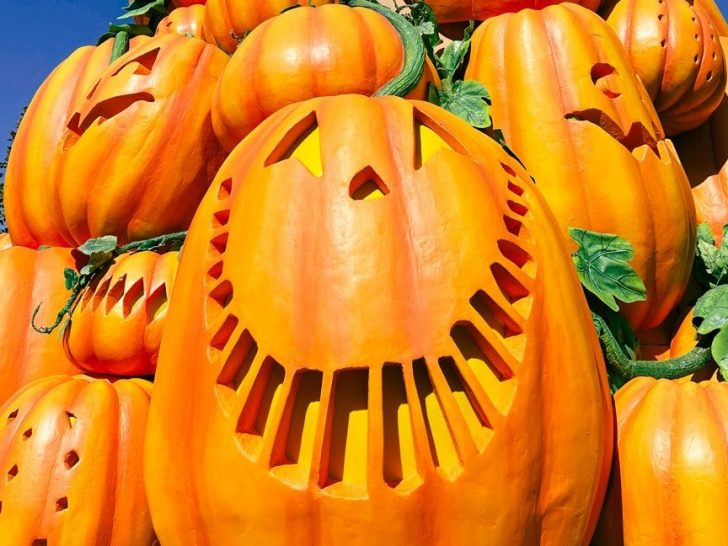 pumpkins at dollywood
