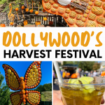 Dollywood's Harvest Festival Pinterest Pin