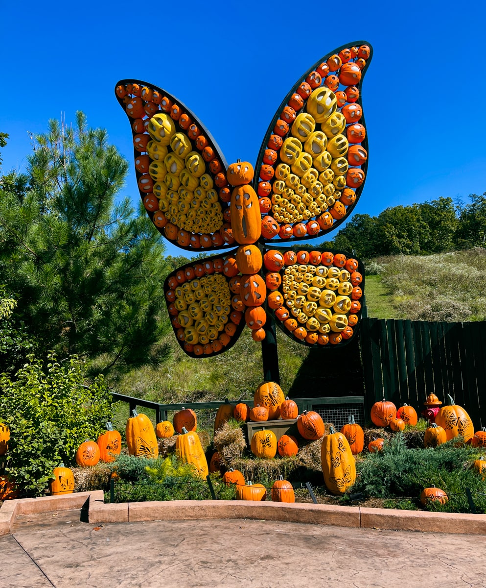 Pumpking sculpture in the shape of a butterfly located at Wild Wood Grove at Dollywood