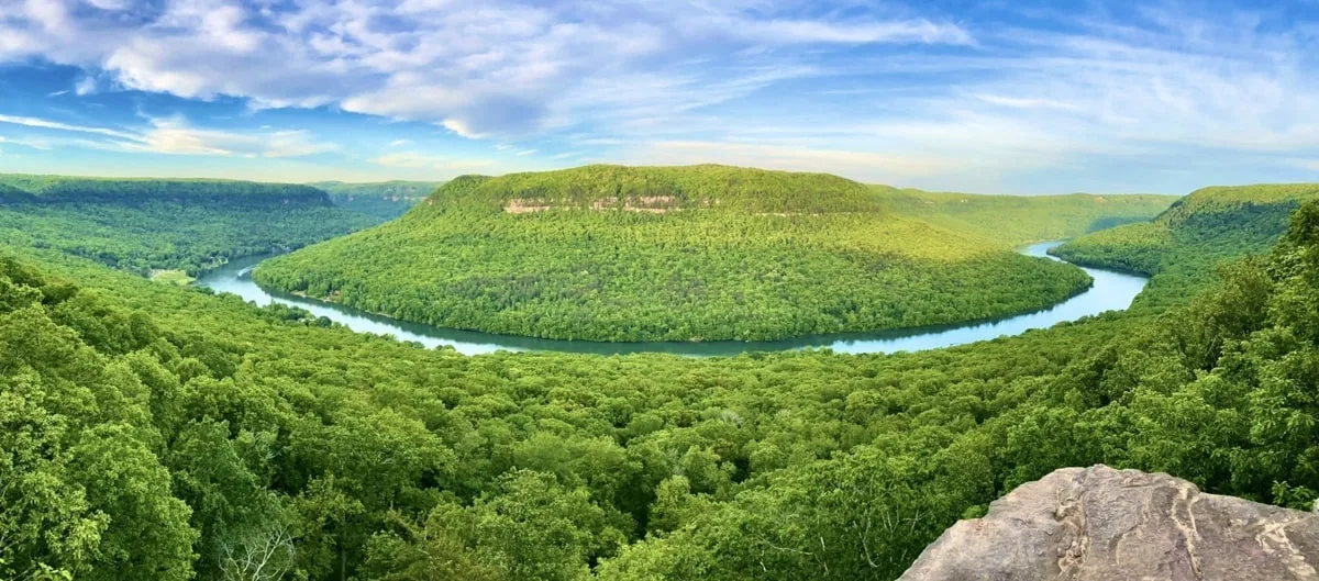 prentice cooper state forest 