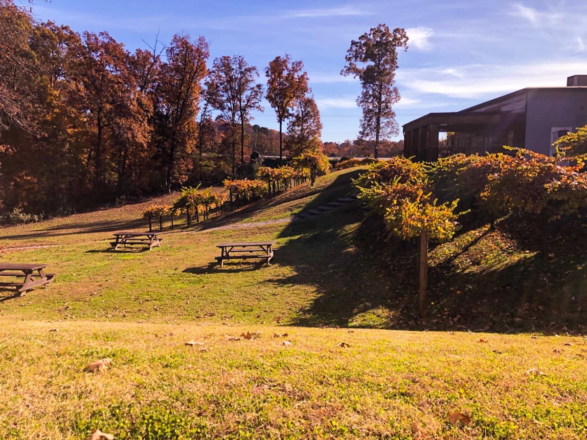 Vineyard views at the Georgia Winery near Chattanooga