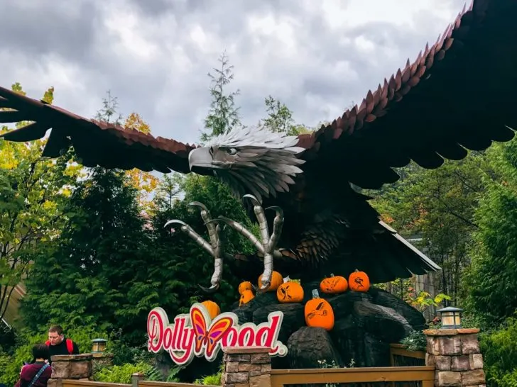 wild eagle ride entrance with pumpkins at dollywood