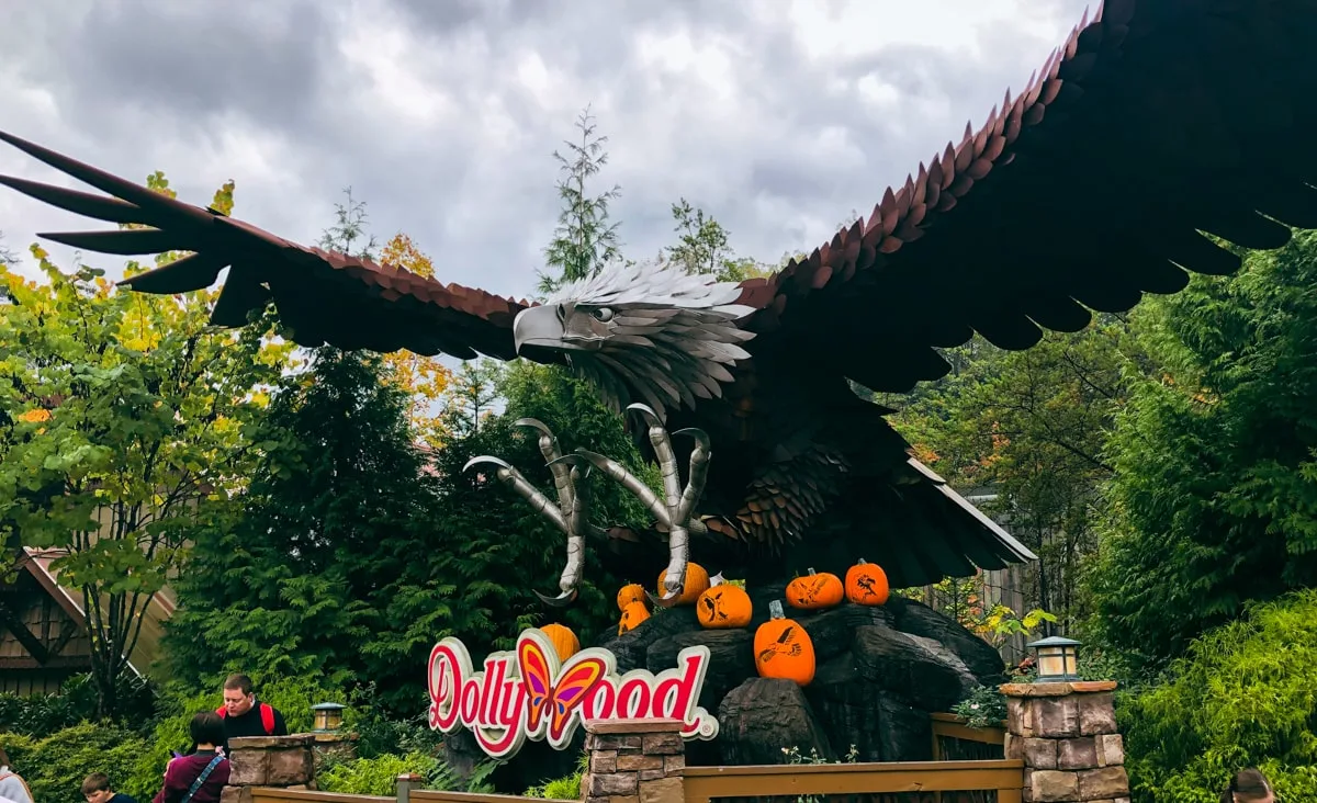 wild eagle ride entrance with pumpkins at dollywood