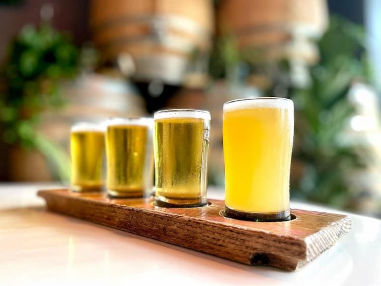 Grab a Pint in The Scruffy City: 10 Best Breweries in Knoxville