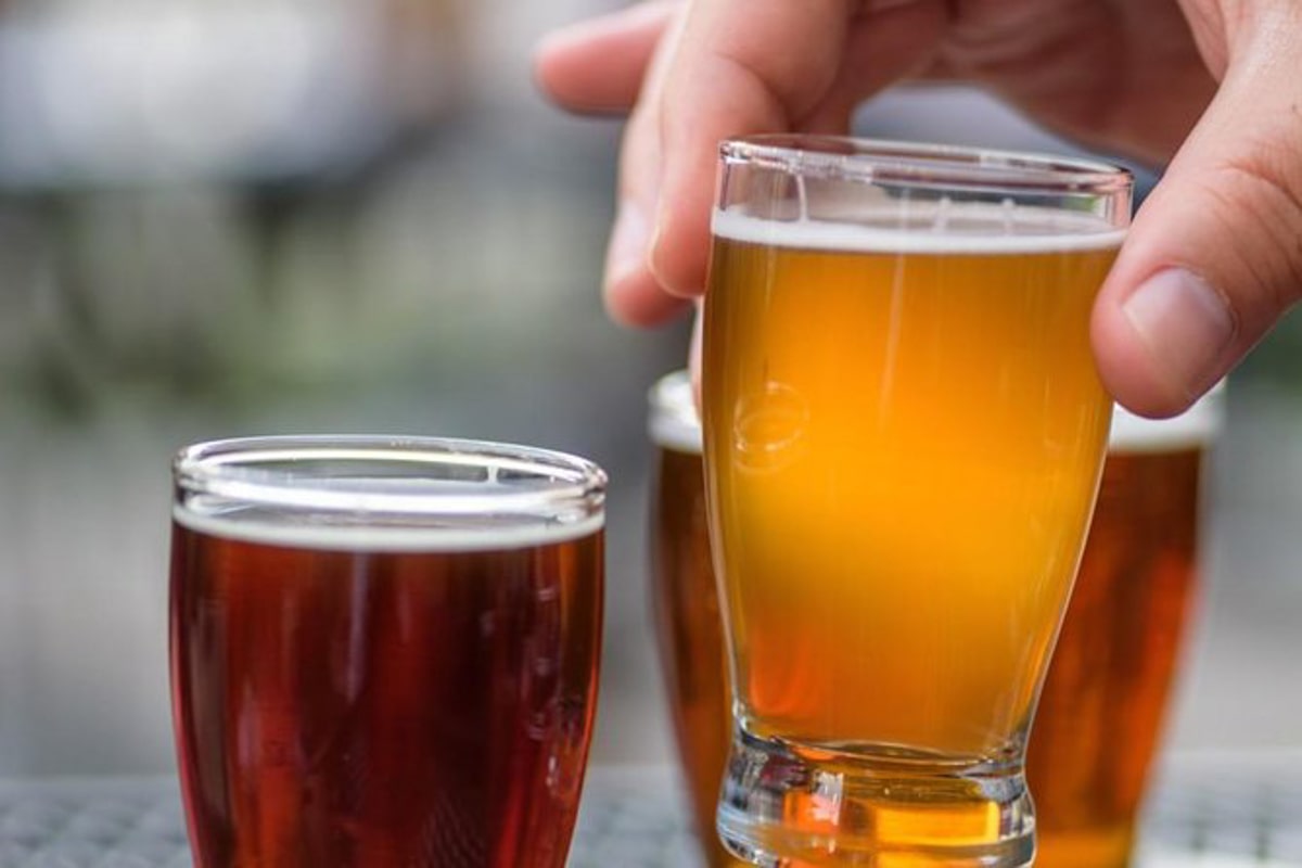 small tasting glasses of craft beer