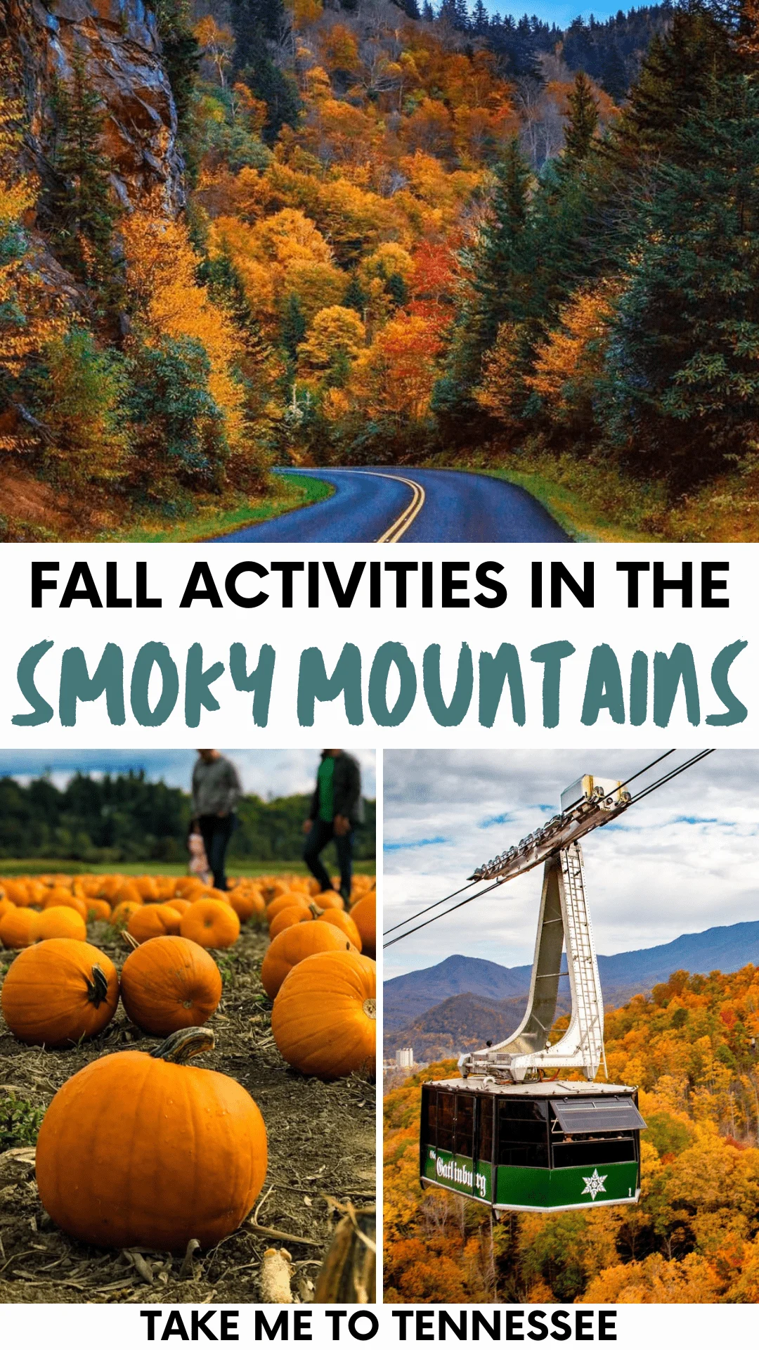 Fall activities in the Smoky Mountains Pinterest Pin