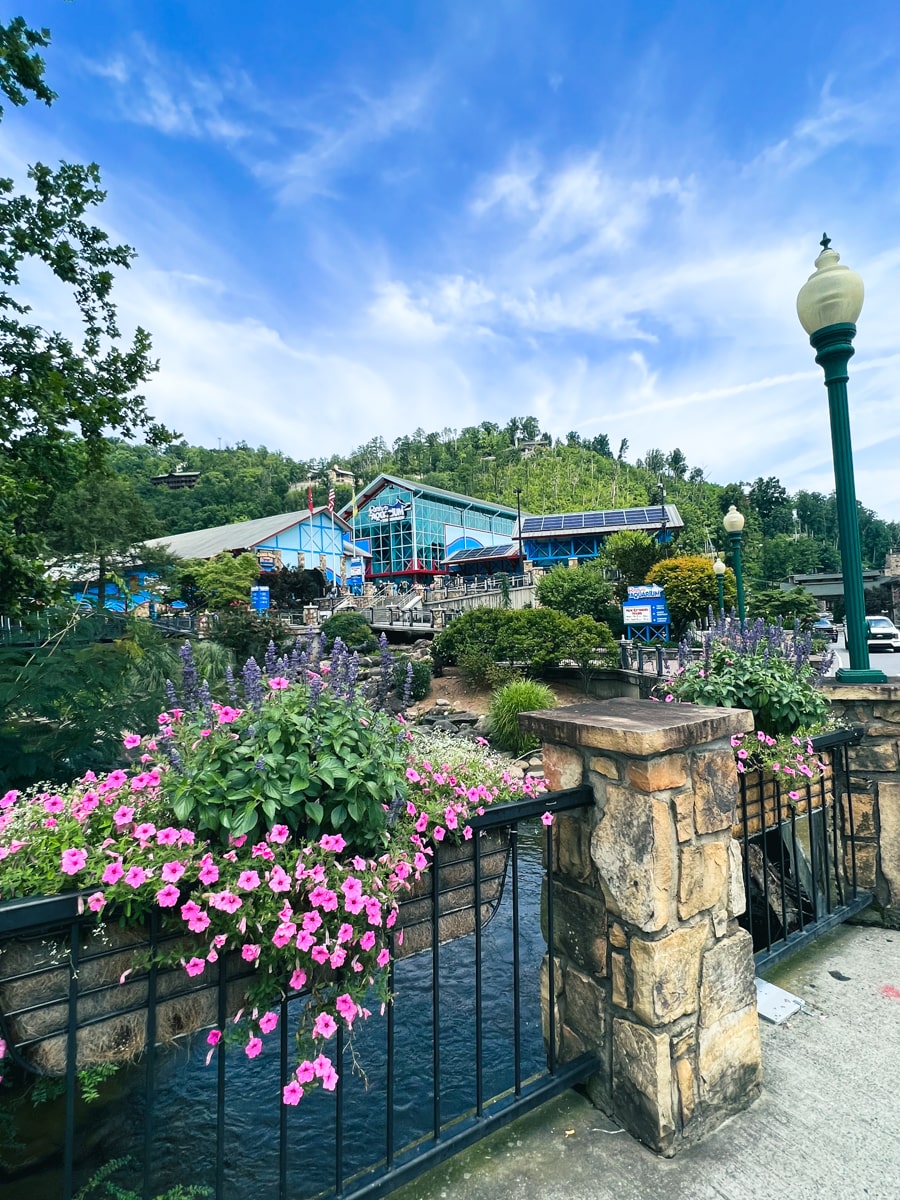 Ripley's Aquarium of the Smokies with flowers 