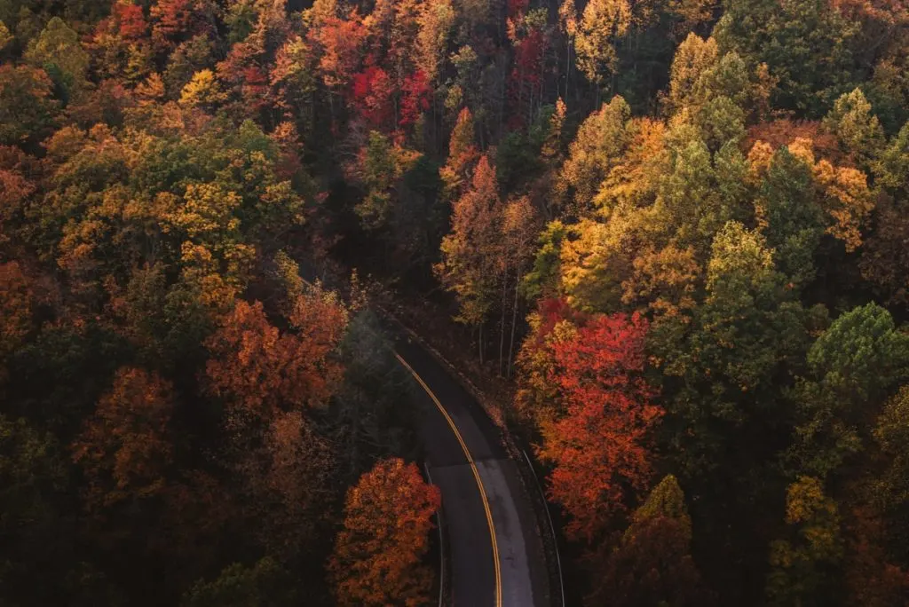 road through the smoky mountains surrounded by fall foliage