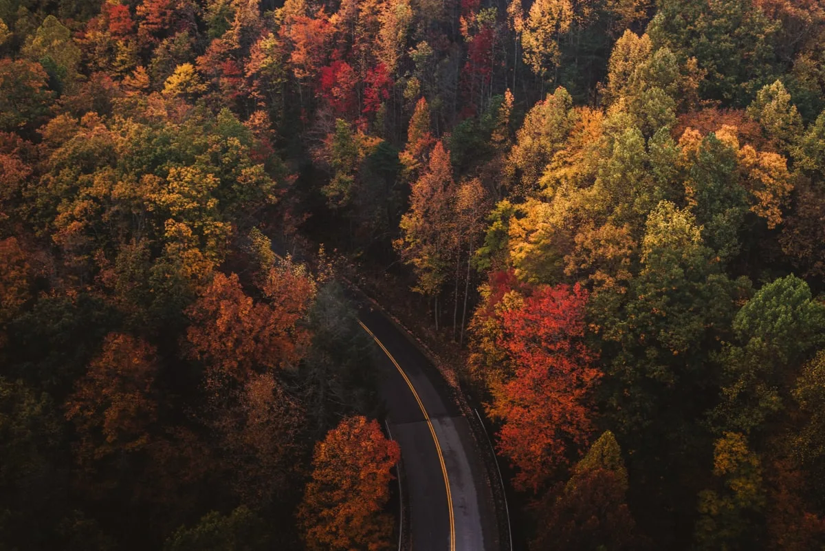 road through the smoky mountains surrounded by fall foliage perfect for a self-guided tour in KNoxville 