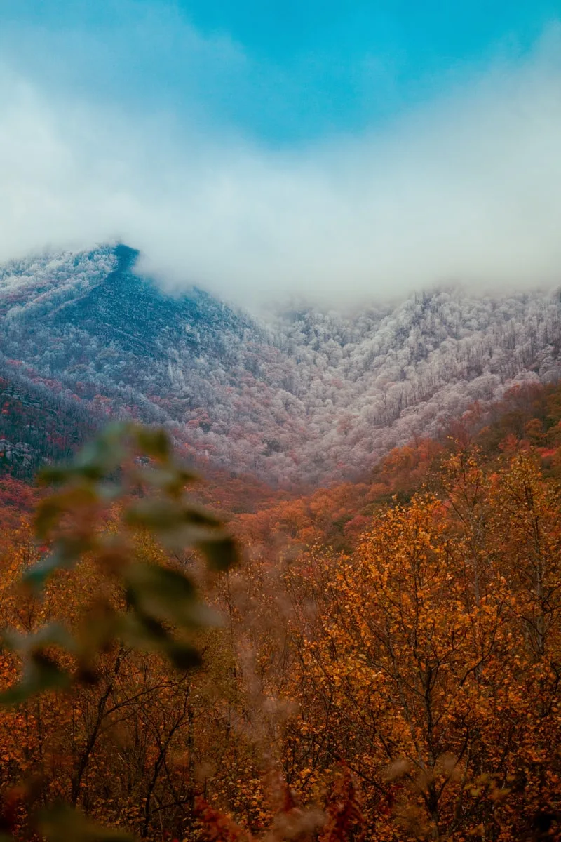 Great Smoky Mountains National Park mountains with fog and colorful leaves