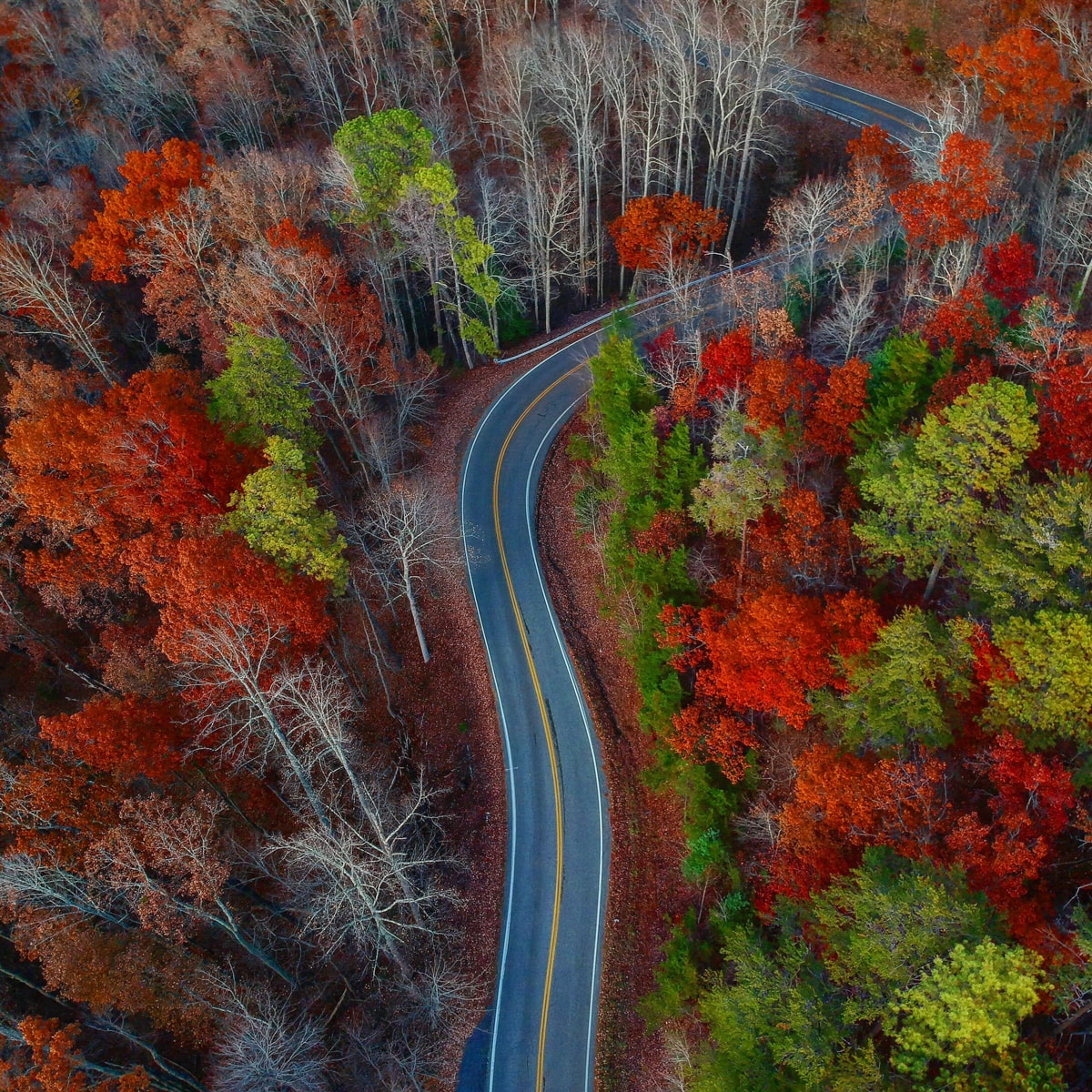 the tail of the dragon highway for motorcycles and sports cars through the smoky mountains and fall foliage