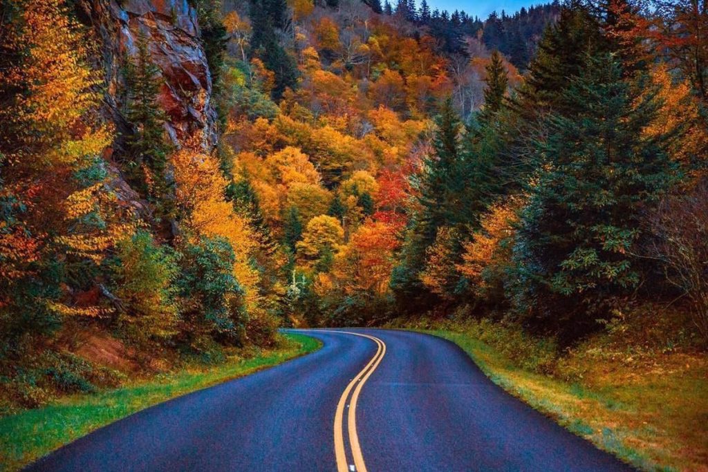 Winding road in the Great Smoky Mountain National Park