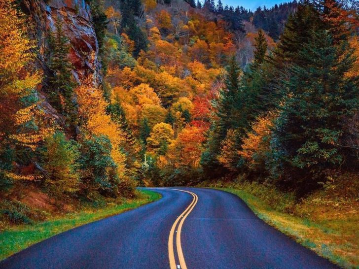 Winding road in the Great Smoky Mountain National Park