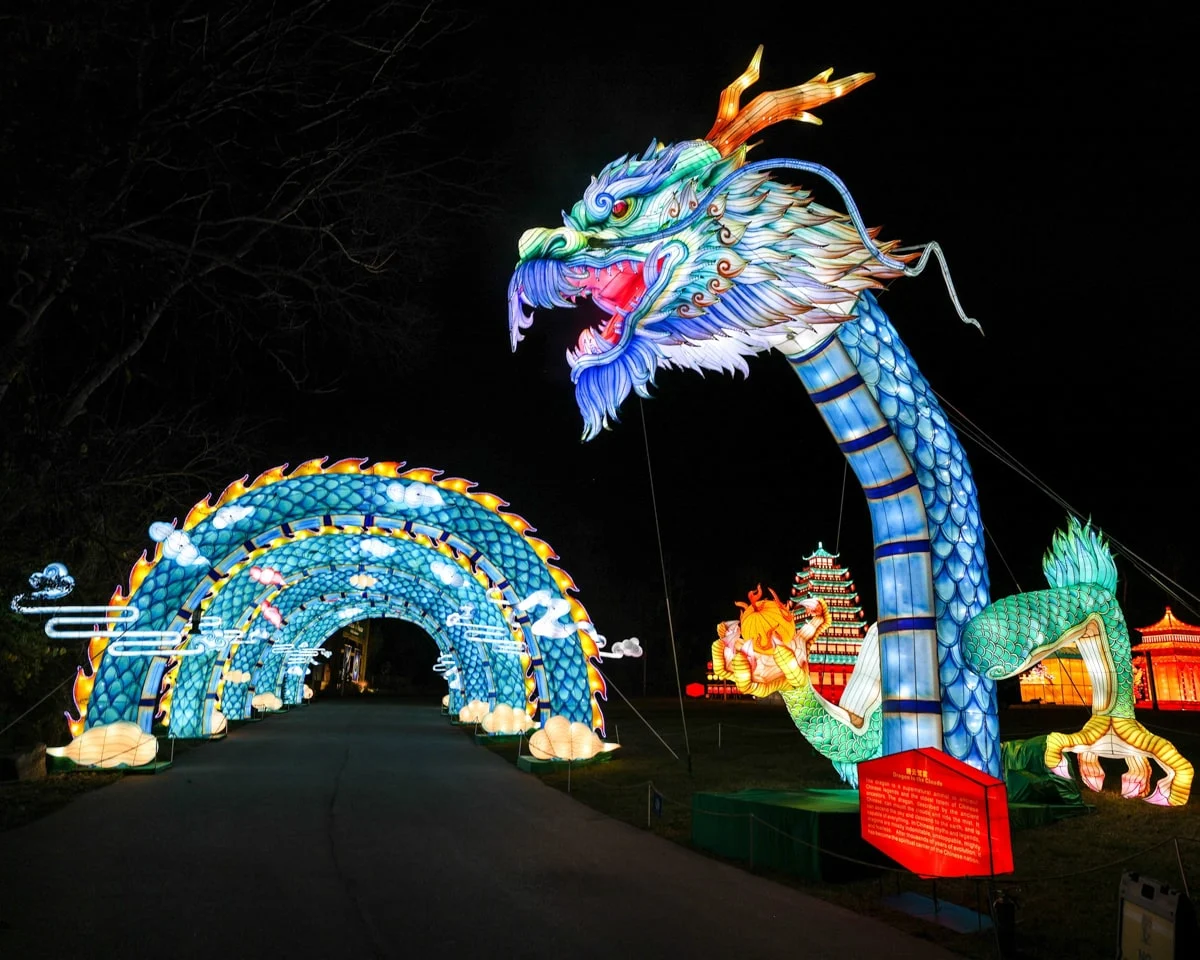 a light up dragon at the nashville zoo for zoolumination for christmas in nashville