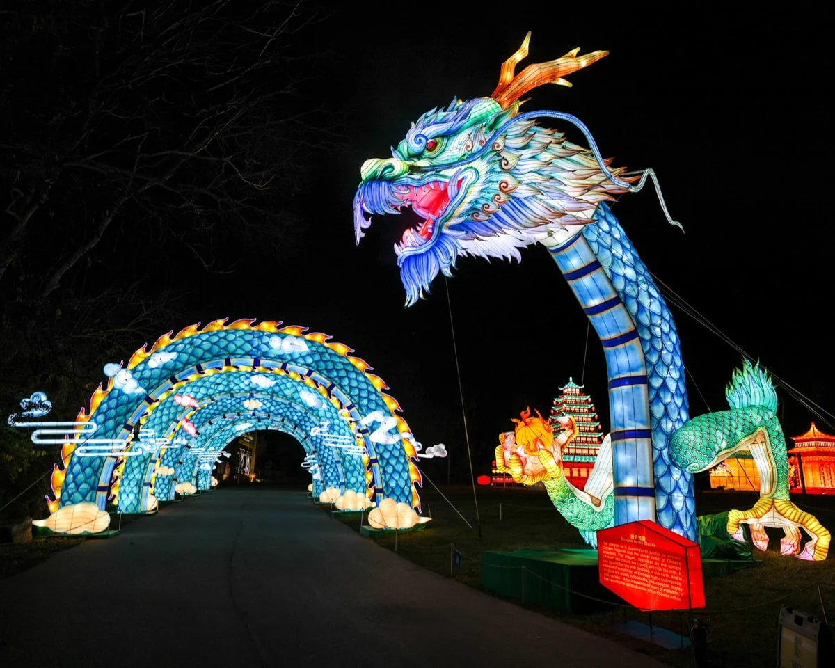 light up dragon lantern at the Zoolumination at the Nashville Zoo 