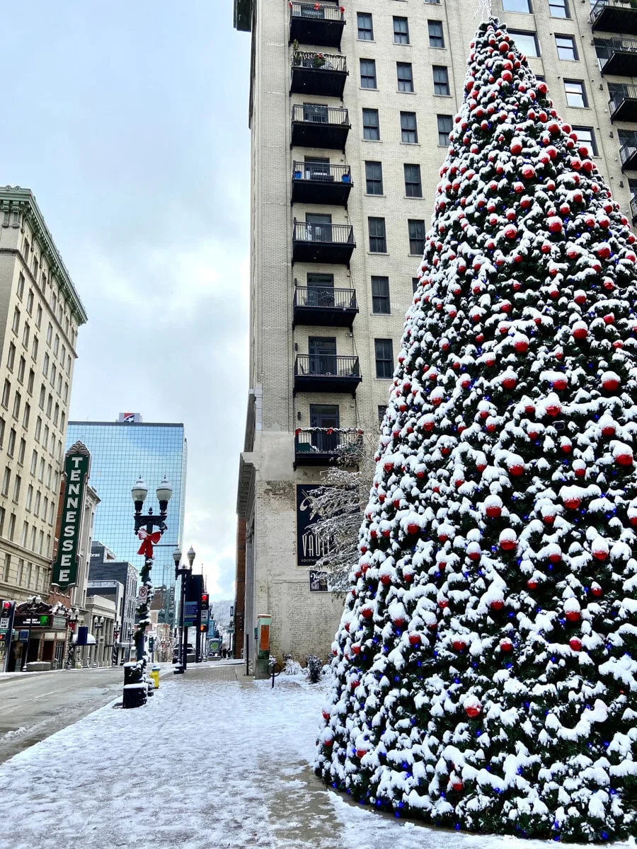 snow covered Christmas tree with the Tennessee theater in the background