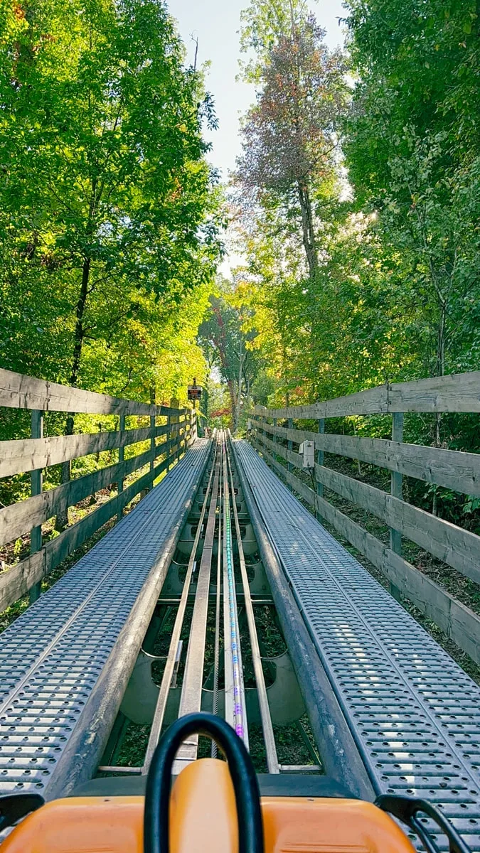 Alpine Mountain Coaster going up the track surrounded by trees