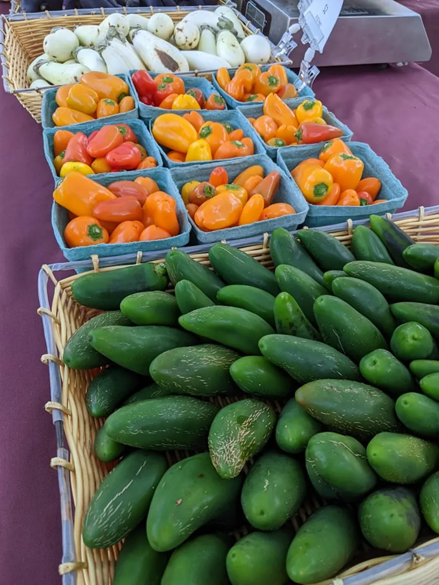 Cucumbers, peppers, and produce at State Street Farmers Market in Bristol TN/VA