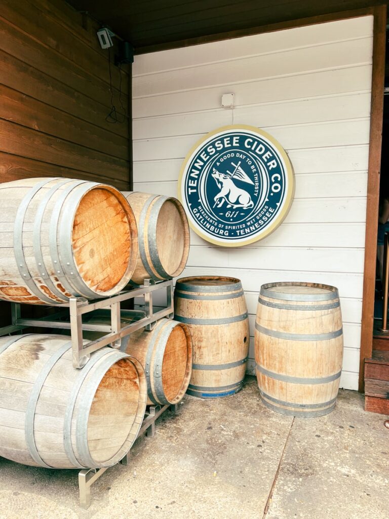 13+ Best Things to Do in Gatlinburg Activities in the Smokies