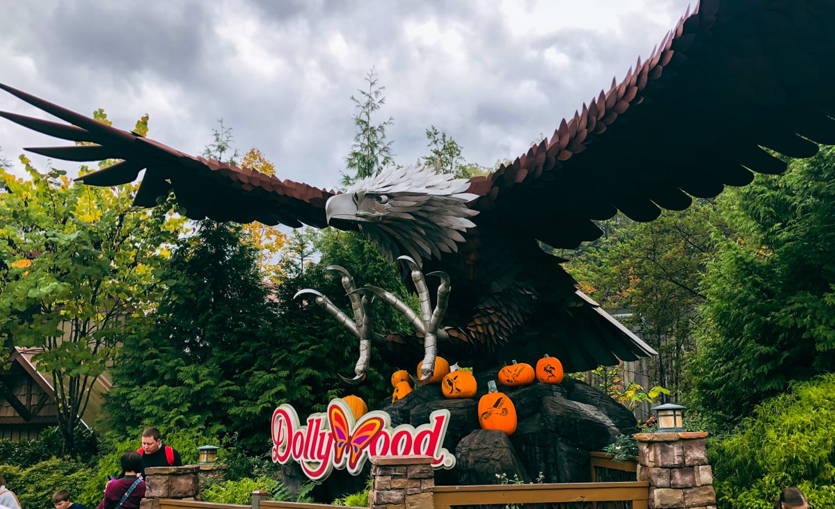 Wild Eagle Roller Coaster entrance with pumpkins during the Dollywood Harvest Festival 