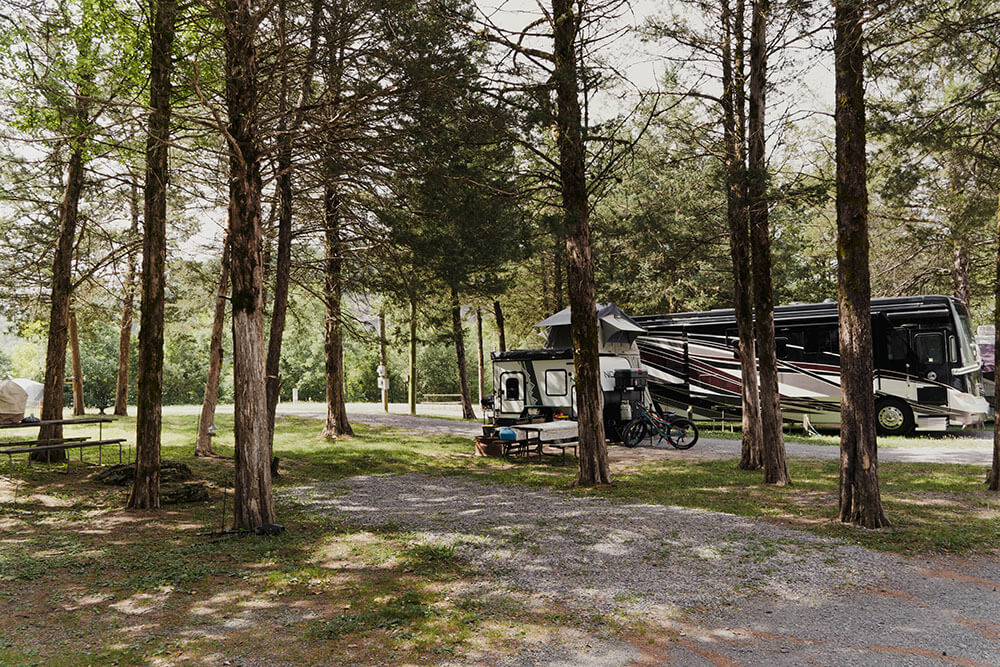 Forested rv campground.