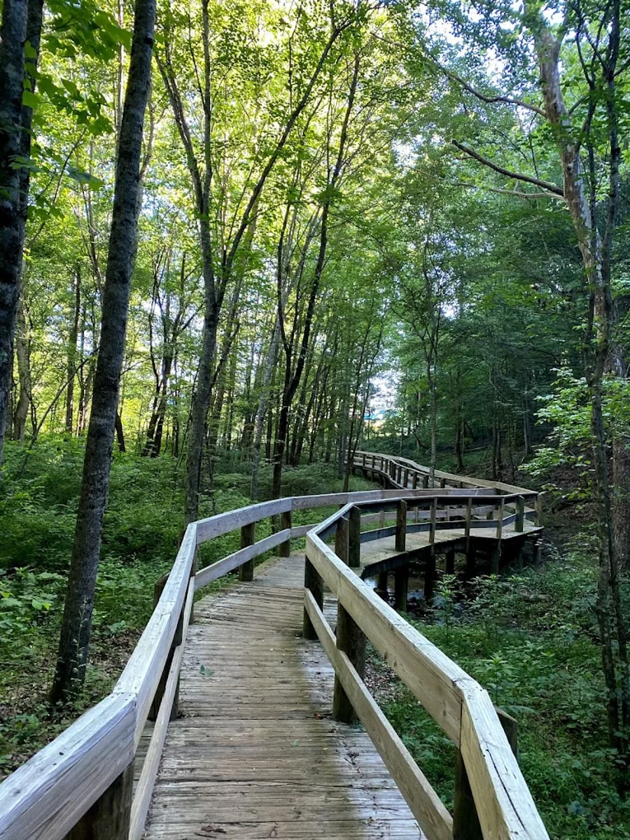 Wooden walkway on a trail through Persimmon Ridge Park in JOnesborough TN 