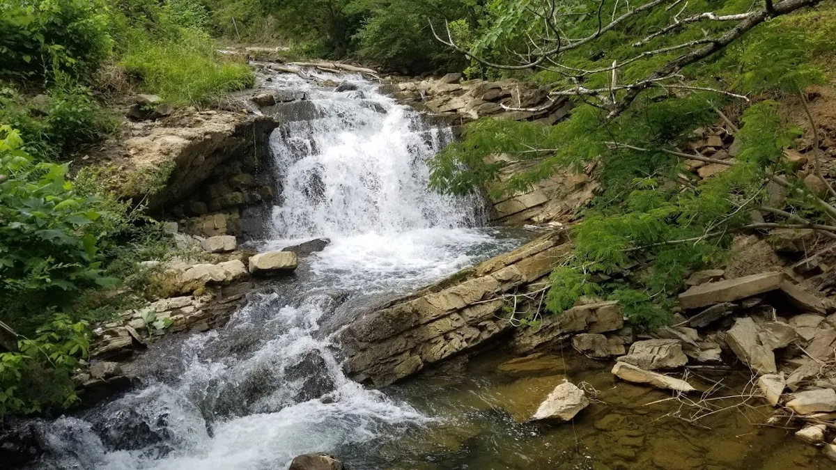 Rooster Front Falls in Bristol TN surrounded by rocks and greenery