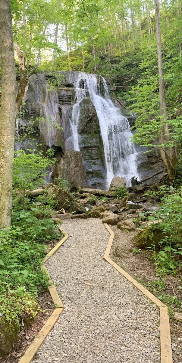 A gravel pathway leading up to Tank Hollow Waterfall near Bristol TN/VA