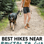 Best hiking spots near Bristol TN-VA Pinterest Pin