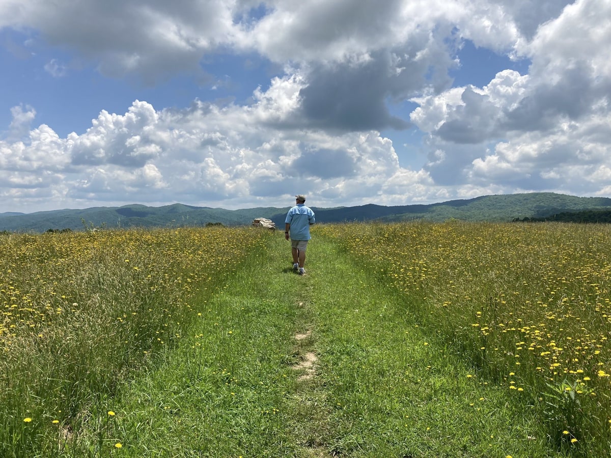 Osborne Farm trail to Cross Mountain with wildflowers and ADA accessible trail