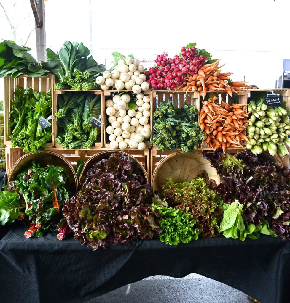 Farmers Market produce with lettuces, radishes, carrots, and other vegetables