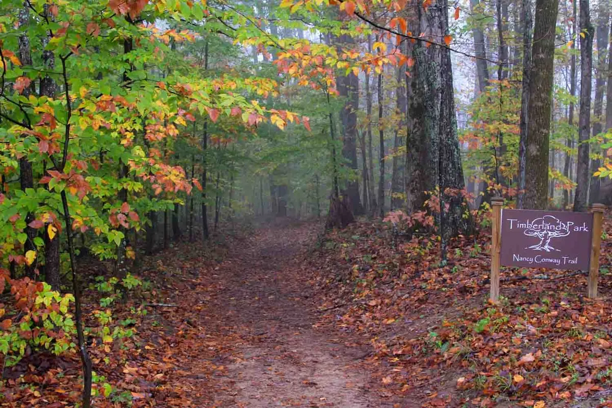 Wooded hiking trail in Timberland Park in Franklin TN