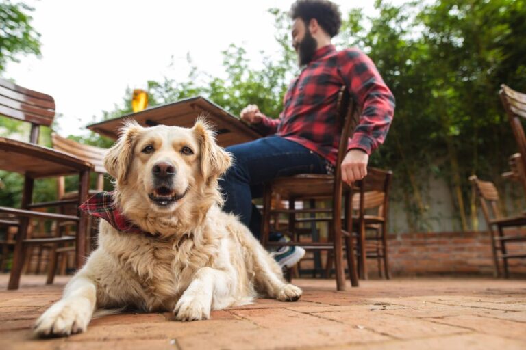 Man and dog at a dog-friendly brewery in Knoxville, TN