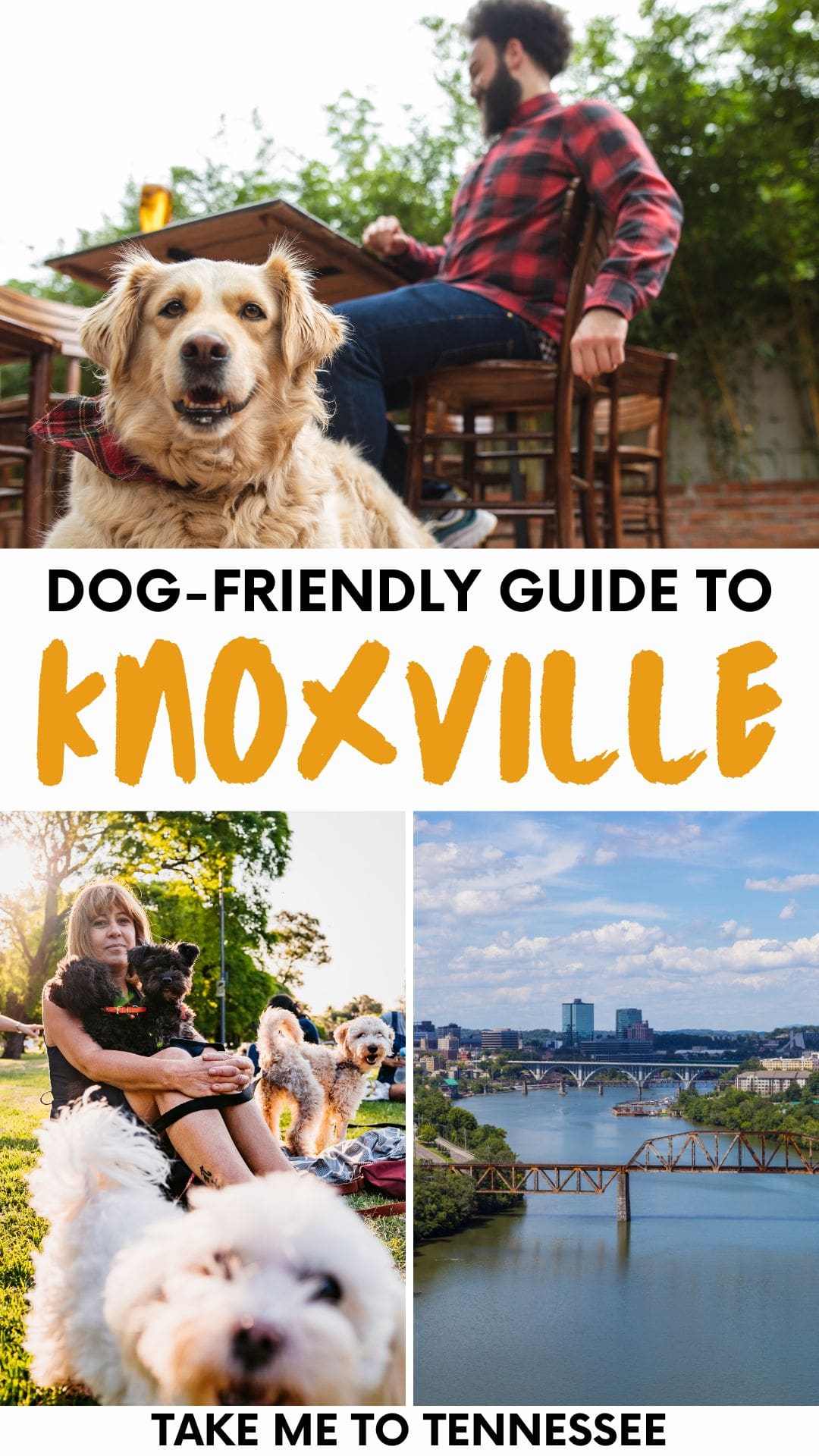 DogFriendly Knoxville Exploring the Scruffy City with Your Pup