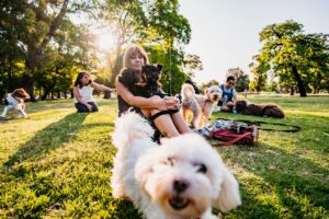 Dog-Friendly Knoxville: Exploring the Scruffy City with Your Pup